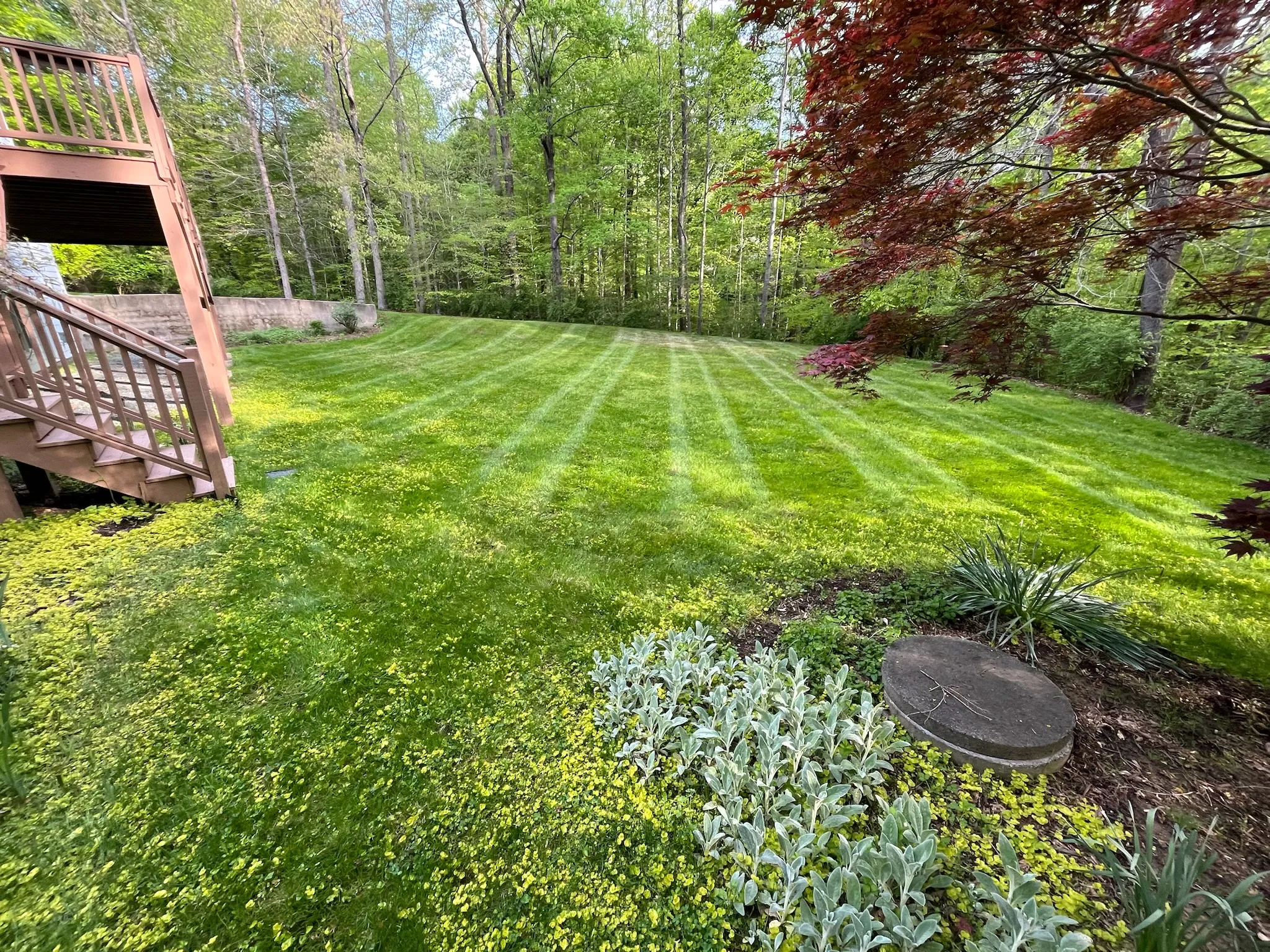A freshly cut, healthy lawn with crisp edges and mature plantings